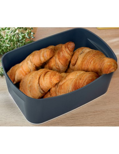 Contenitore Portaoggetti Organizer Leitz Cosy My Box S Leitz - 14