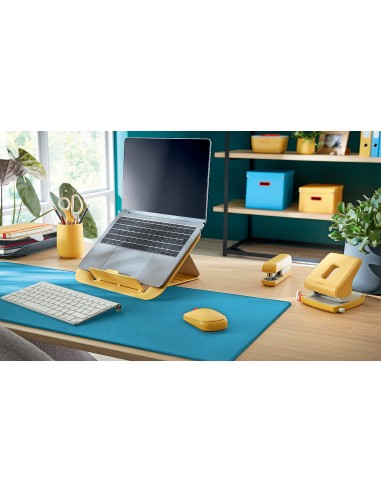 Contenitore Portaoggetti Organizer Leitz Cosy My Box S Leitz - 18