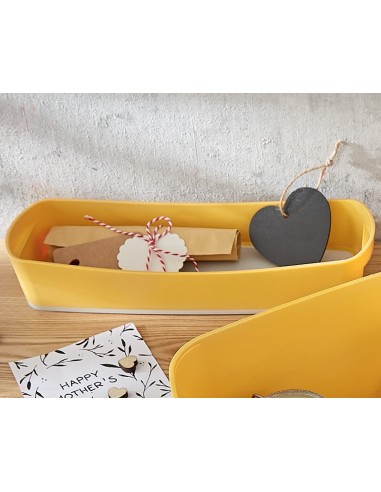 Vassoio Portaoggetti Organizer Leitz Cosy My Box Leitz - 8