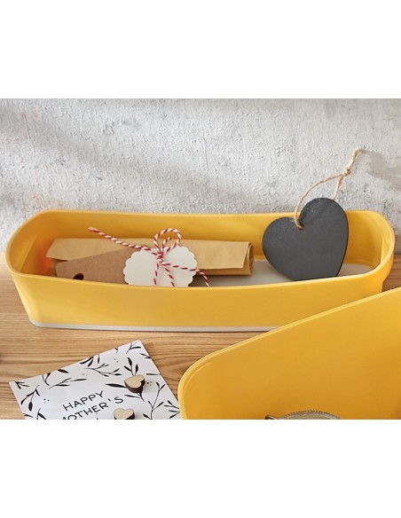 Vassoio Portaoggetti Organizer Leitz Cosy My Box Leitz - 8