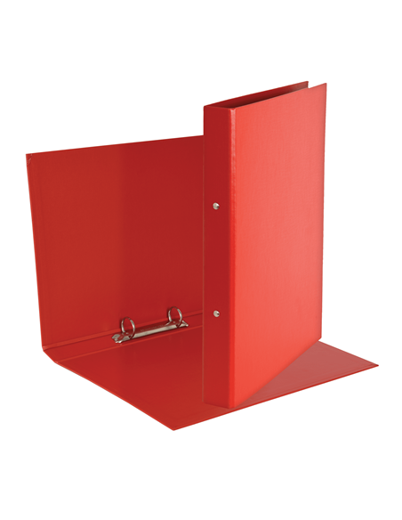 Raccoglitore Esselte Daily a 2 anelli tondi da 25 mm - 21x29,7 cm- dorso 3,5 cm Esselte - 4