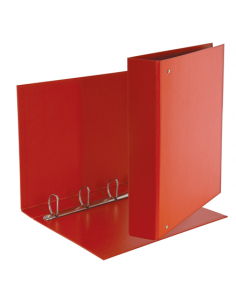 Raccoglitore Esselte Daily a 4 anelli a D da 40 mm - 22x30 cm - dorso 5 cm Esselte - 1 2