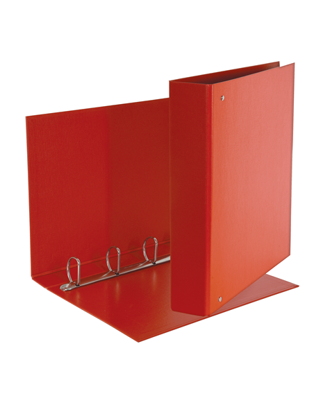 Raccoglitore Esselte Daily a 4 anelli a D da 40 mm - 22x30 cm - dorso 5 cm Esselte - 2