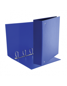 Raccoglitore Esselte Daily a 4 anelli a D da 50 mm - 22x30 cm - dorso 6 cm Esselte - 1 2