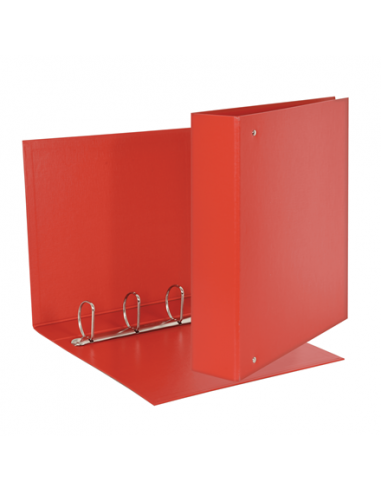 Raccoglitore Esselte Daily a 4 anelli a D da 50 mm - 22x30 cm - dorso 6 cm Esselte - 4