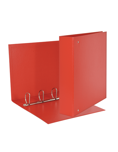 Raccoglitore Esselte Daily a 4 anelli a D da 50 mm - 22x30 cm - dorso 6 cm Esselte - 4