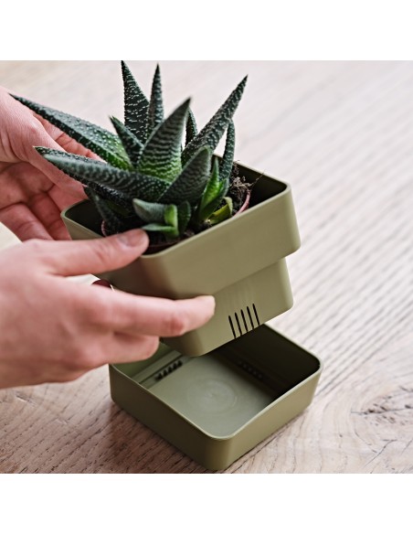 Vaso Veleta 0.75Lt Verde Oliva Teraplast