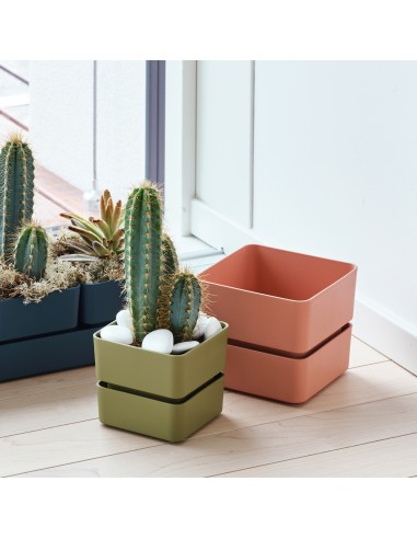 Vaso Veleta 0.75Lt Verde Oliva Teraplast