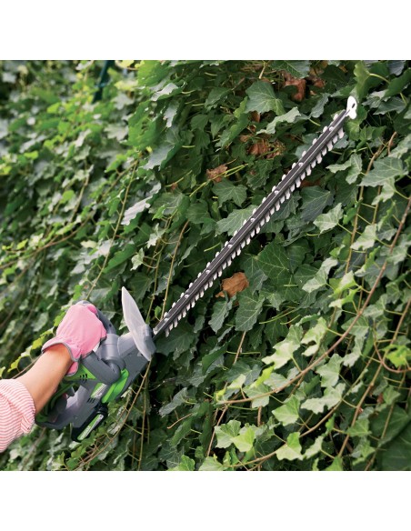 Tagliasiepe A Batteria Ts20 20V-2Ah