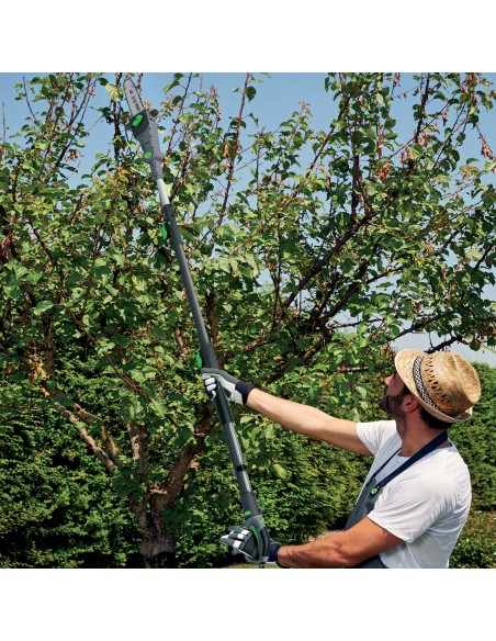 Potatore Telescopico A Batteria Pt20 20V-2Ah