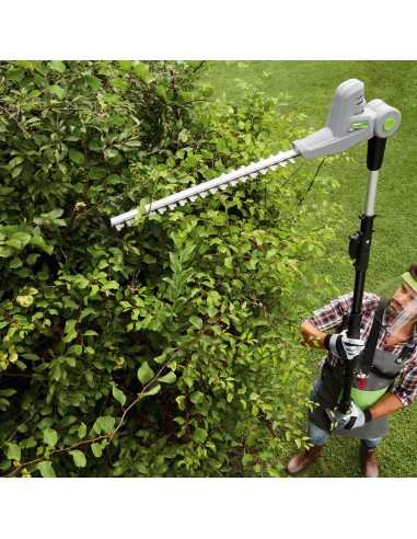 Tagliasiepe Telescopico A Batteria Tt20 20V-2Ah