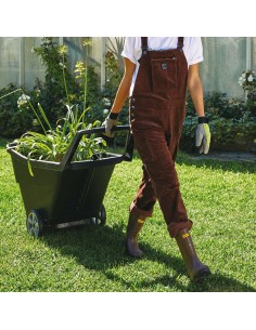 Carriola Multiuso Con... 2