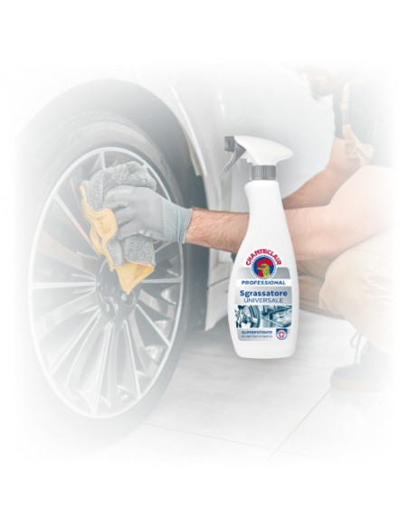Chanteclair Sgrassatore Professional universale - spray da 700 ml - 60IH20IT Chanteclair - 3