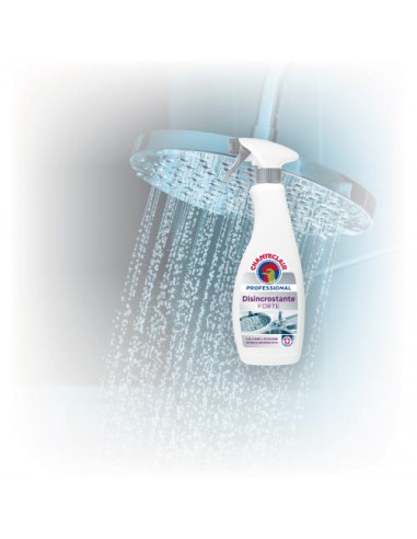 Chanteclair Disincrostante Forte Professional - spray da 700 ml - 604020IT Chanteclair - 3