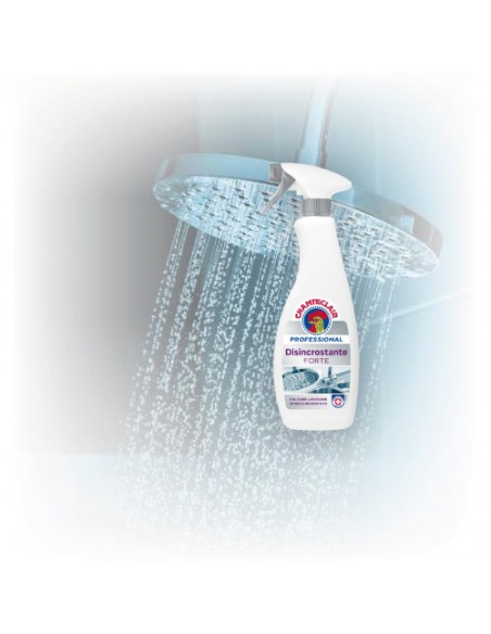 Chanteclair Disincrostante Forte Professional - spray da 700 ml - 604020IT Chanteclair - 3