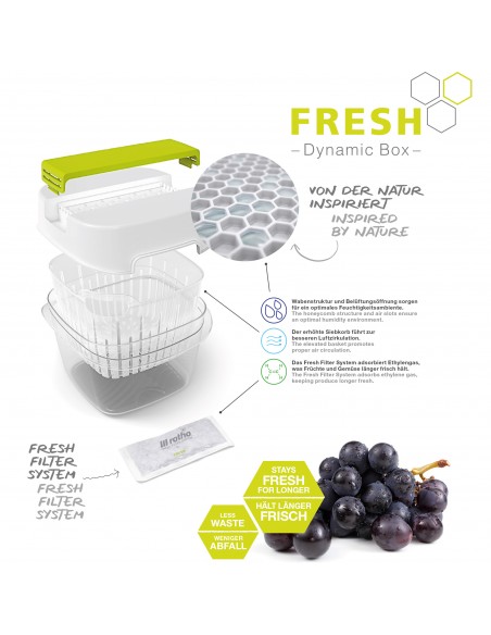 Contenitore Per Alimenti Dynamic Box 1,6 Lt. Fresh
