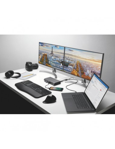 Docking station ibrida SD5600T...