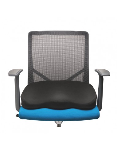 Kensington Cuscino ergo in memory...