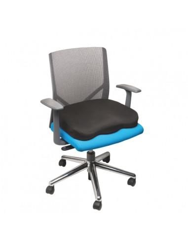 Kensington Cuscino ergo in memory...