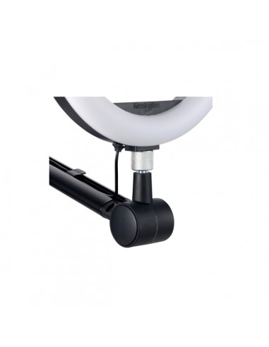 Braccio A1020 per microfoni, webcam e sistemi di illuminazione K87652WW Kensington - 7
