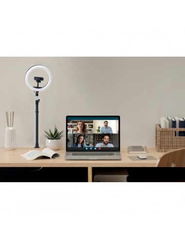 Montaggio a scrivania telescopico con morsetto a C A1000 per microfoni, webcam e sistemi di illuminazione K87654WW Kensington - 